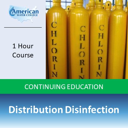 Distribution Disinfection Problems