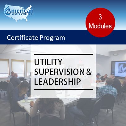 Utility Supervision and Leadership